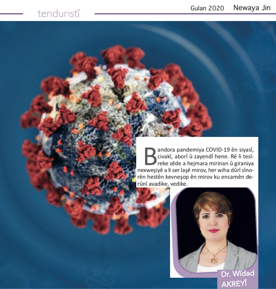 Anatomy of COVID Calamity book cover authored by epidemiologist Dr. Widad Akreyi tracking global health security frameworks