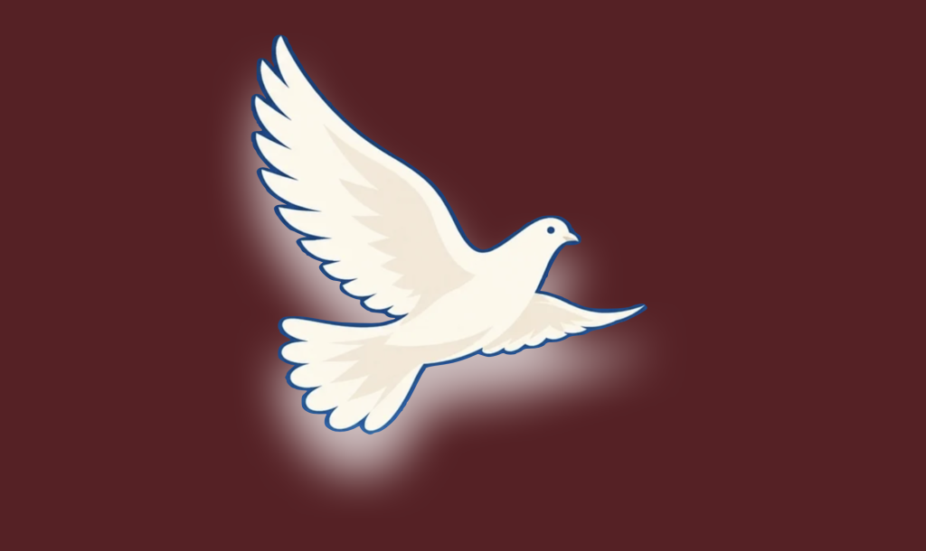 Minimalist white dove illustration symbolizing Defend International's global mandate for peace, disarmament, and civilian security.