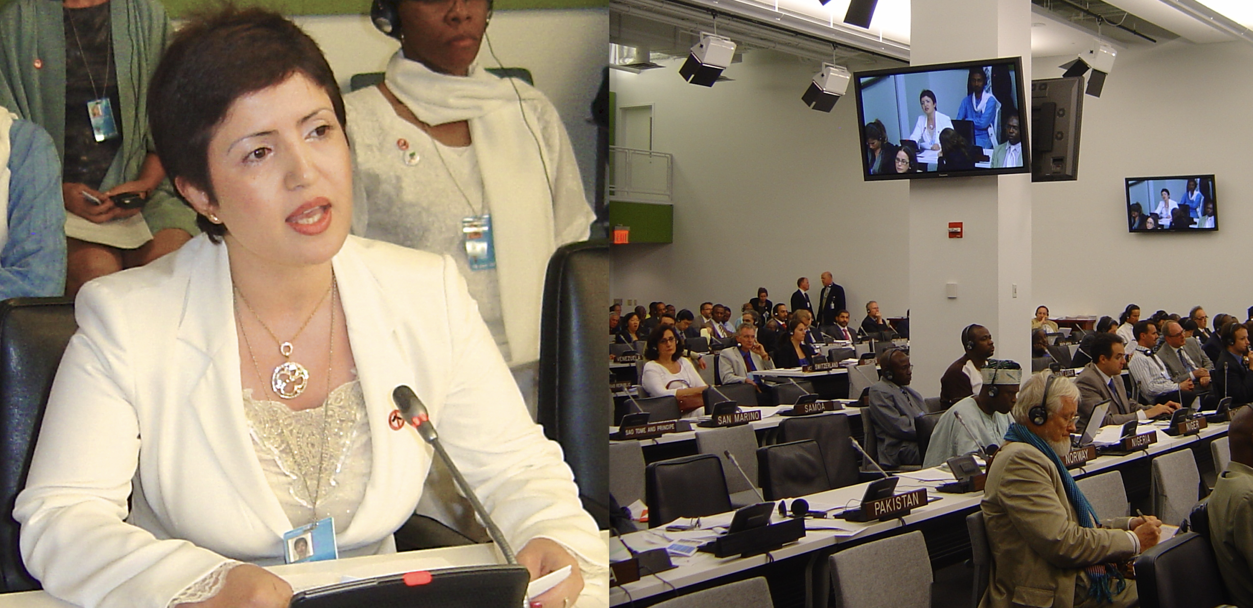 Defend International President Dr. Widad Akreyi directly lobbying state delegates and international policymakers at United Nations Headquarters during the historic Arms Trade Treaty (ATT) negotiations in New York.