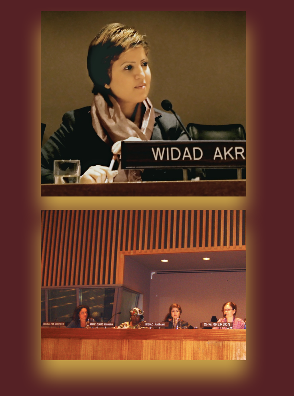 Defend International delegation tracking disarmament policy at the United Nations Headquarters in New York